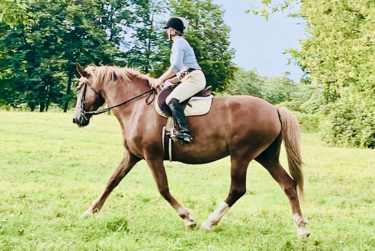 Lakeside Sparkling Cider