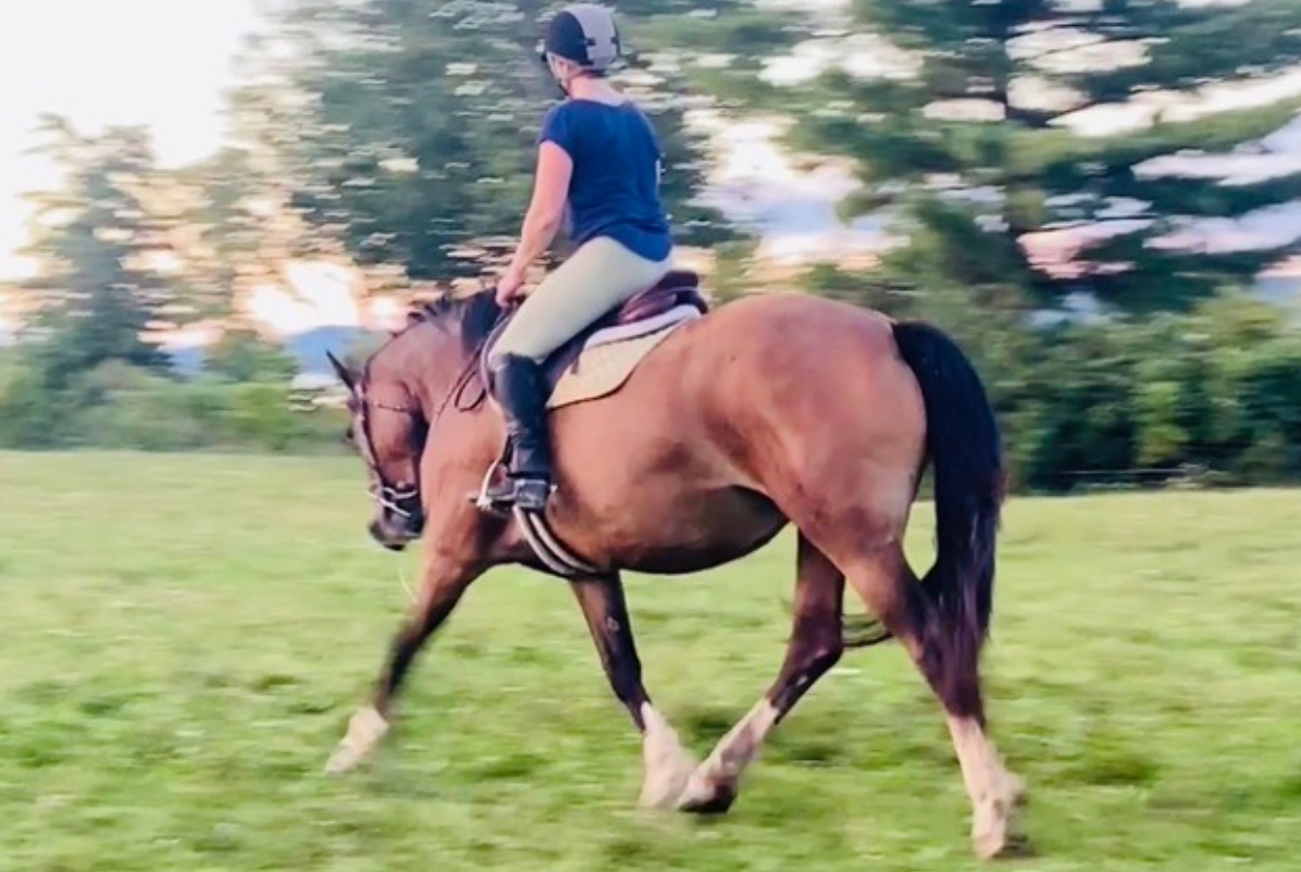 Lakeside In the Rain