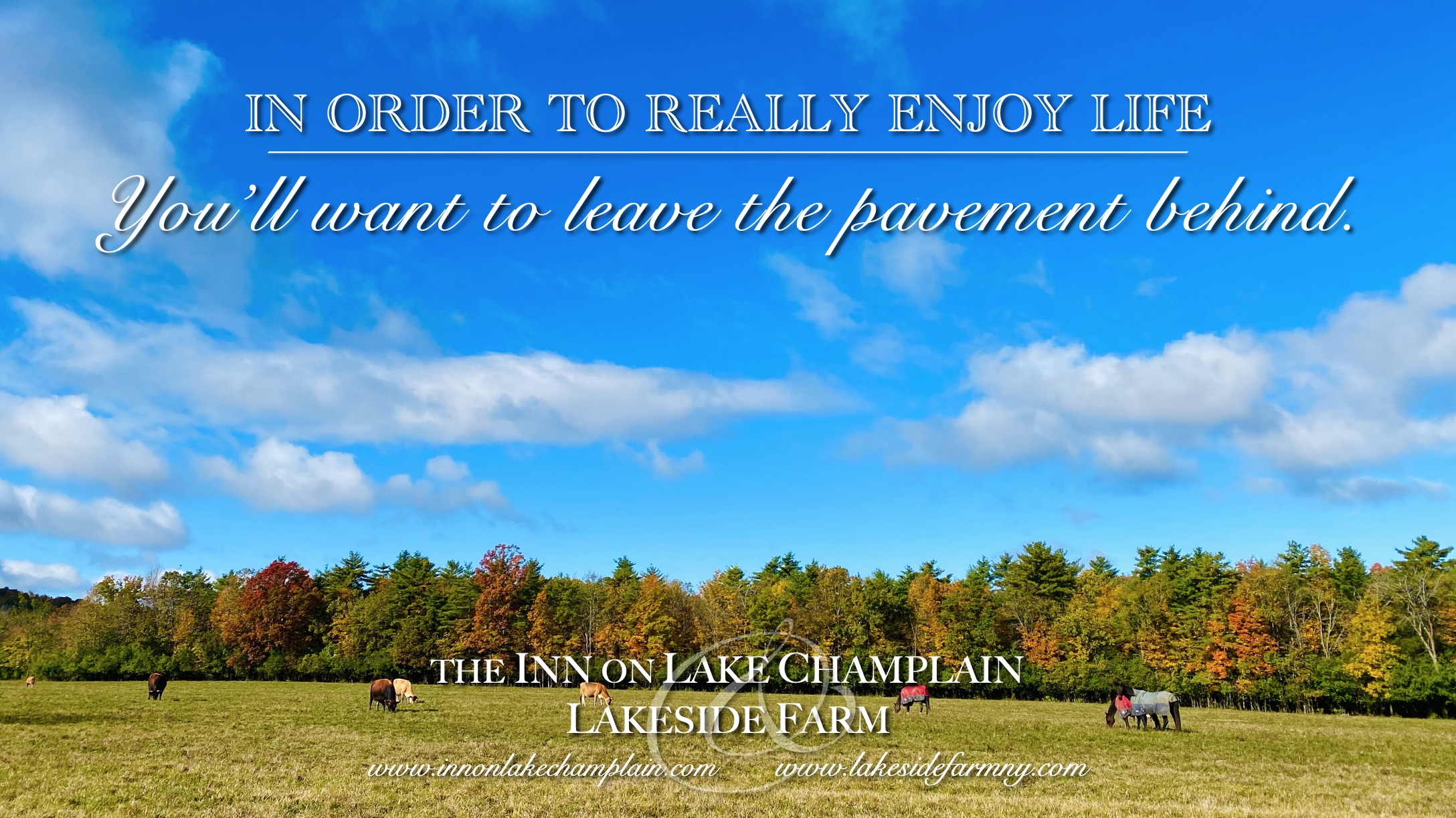 Lakeside Farm on Facebook