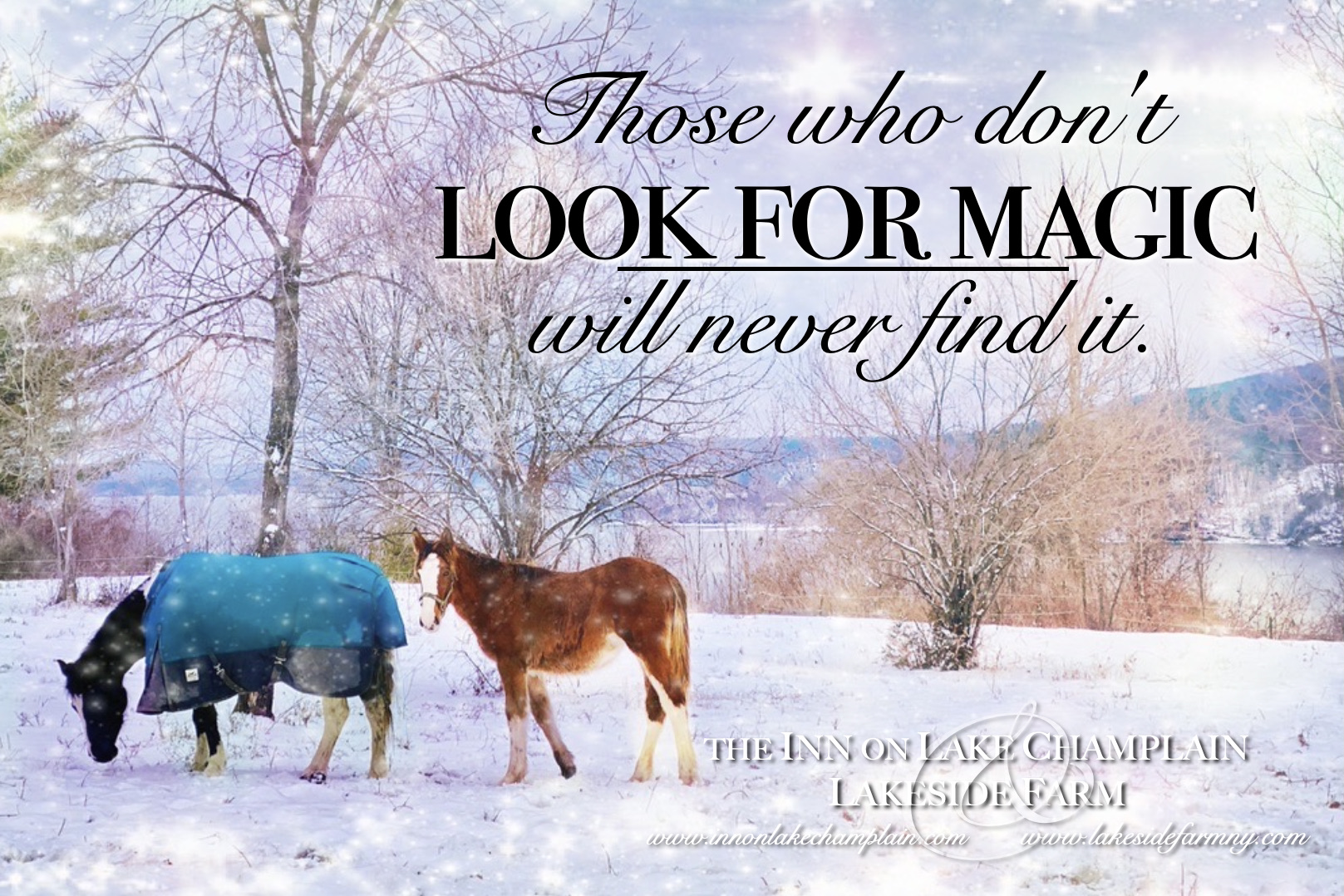 Lakeside Farm on Facebook