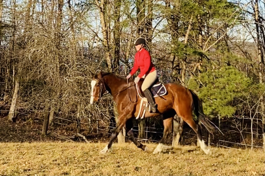 Perfectionist, by Prototype